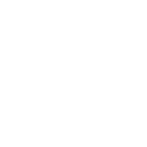 Icon der Brust